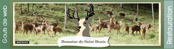 Domaine de Saint Denis